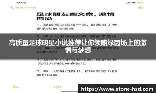 高质量足球明星小说推荐让你领略绿茵场上的激情与梦想